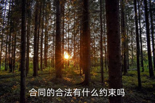 合同的合法有什么約束嗎