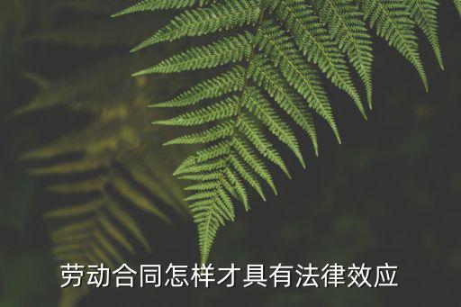 什么勞務合同才法律有效，勞動合同怎樣才具有法律效應