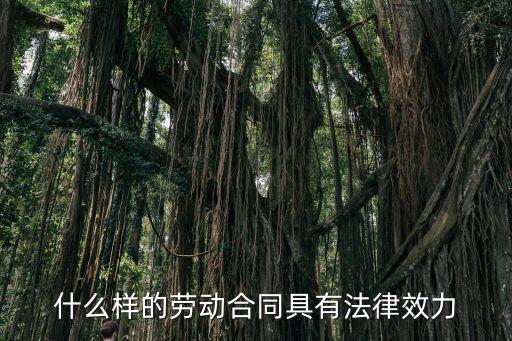 什么樣的勞動合同具有法律效力