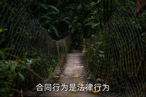 合同行為是法律行為