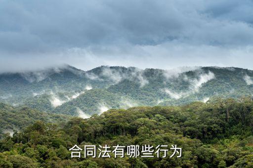 合同法有哪些行為