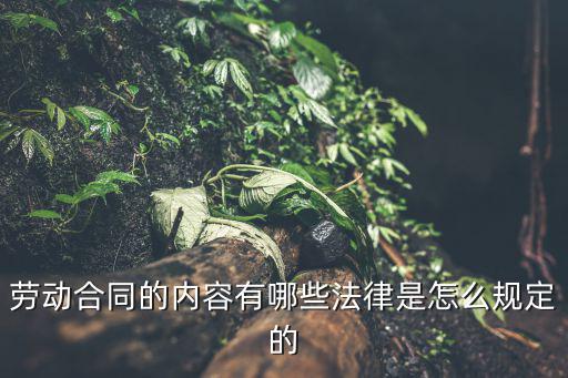 勞動合同的內容有哪些法律是怎么規(guī)定的