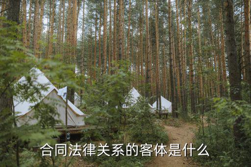合同法律關系的客體是什么