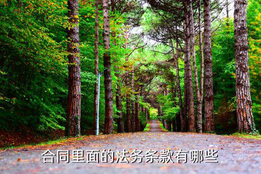 合同里面的法務(wù)條款有哪些