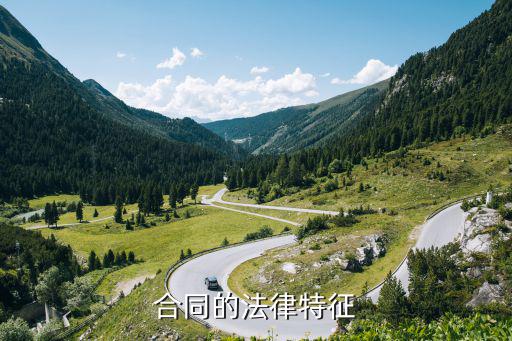 合同的法律特征