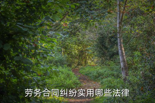 勞務(wù)合同糾紛實(shí)用哪些法律