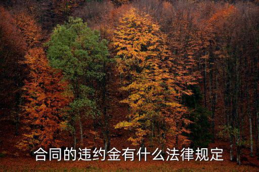 合同的違約金有什么法律規(guī)定