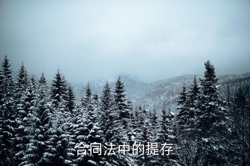 合同法中的提存