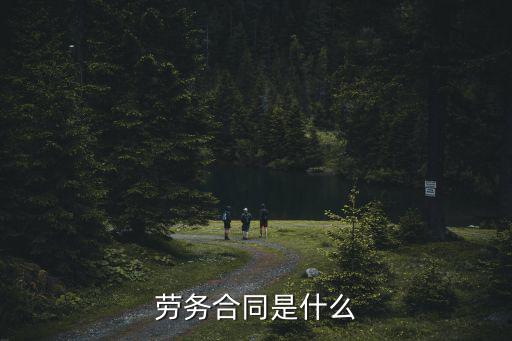勞務(wù)合同是什么