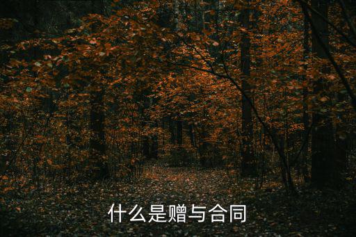 什么是贈與合同法律特征，什么是贈與合同