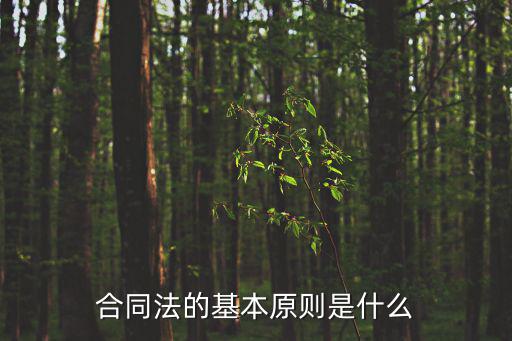 合同法的基本原則是什么