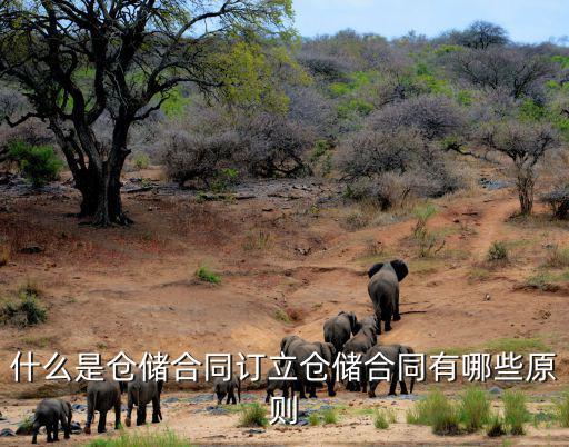 倉(cāng)儲(chǔ)合同的法律特性有什么，什么是倉(cāng)儲(chǔ)合同訂立倉(cāng)儲(chǔ)合同有哪些原則