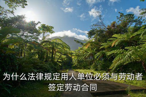 為什么法律規(guī)定用人單位必須與勞動者簽定勞動合同