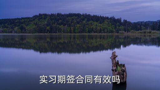 實習(xí)合同有什么法律效力，實習(xí)期間簽訂勞動合同有法律效力嗎