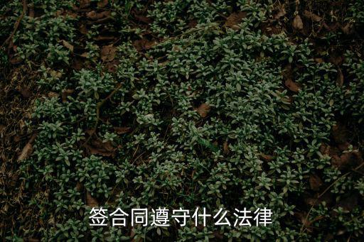 簽合同遵守什么法律