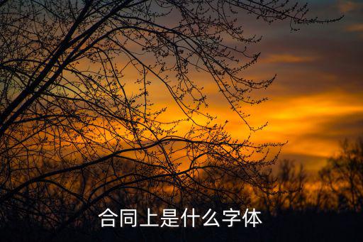 合同法律意見書是什么字體，合同正文用什么字體最好