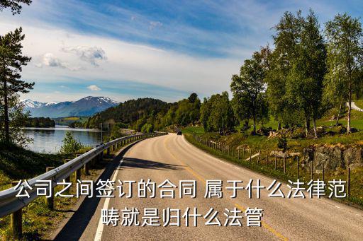 公司之間簽訂的合同 屬于什么法律范疇就是歸什么法管