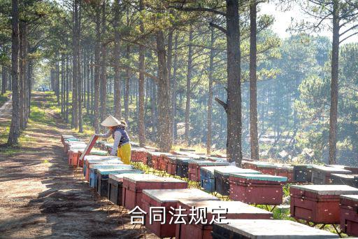 合同法規(guī)定