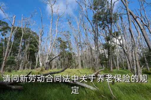 請(qǐng)問新勞動(dòng)合同法中關(guān)于養(yǎng)老保險(xiǎn)的規(guī)定