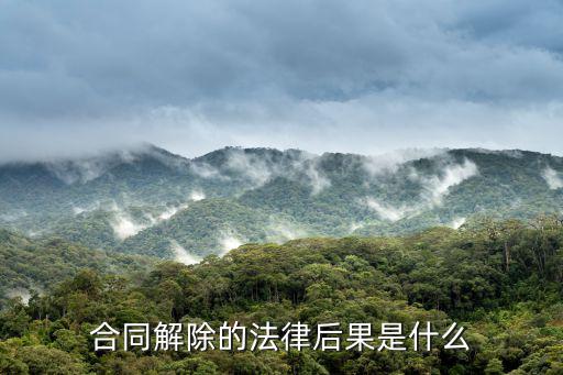 合同解除后有什么法律后果，合同撤銷的法律后果是什么