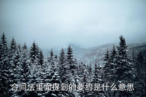 合同法里面提到的要約是什么意思