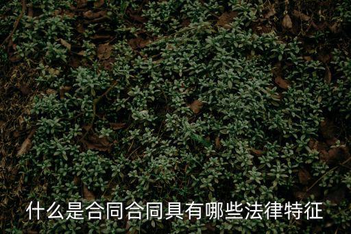 什么是合同合同具有哪些法律特征