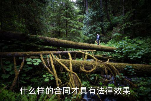 什么樣的合同才具有法律效果