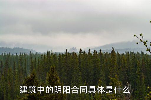 建筑中的陰陽合同具體是什么