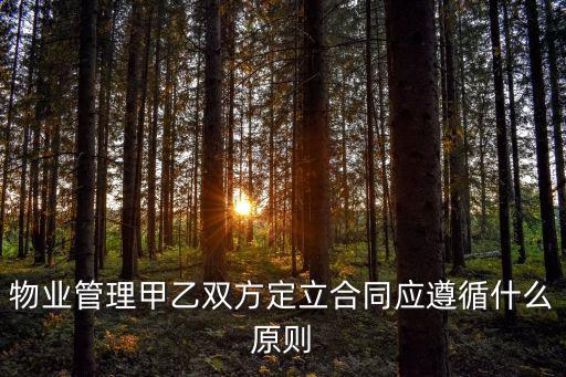 物業(yè)管理甲乙雙方定立合同應(yīng)遵循什么原則