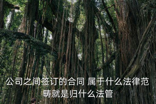 合同法律制度法屬于什么法律，合同法屬于哪個(gè)法律體系的范疇