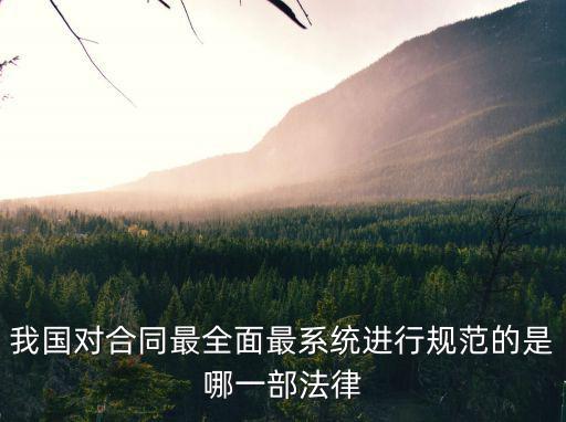 我國對合同最全面最系統(tǒng)進行規(guī)范的是哪一部法律