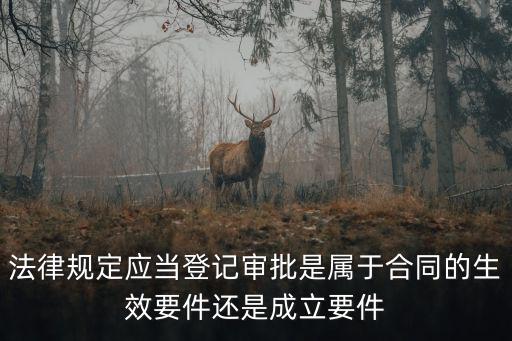 審批合同需要什么法律，法院在審查行政合同時應(yīng)適用哪些法律