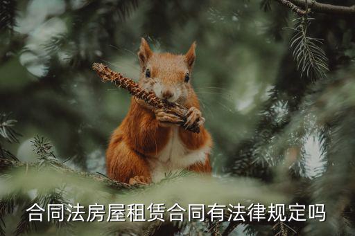 合同法房屋租賃合同有法律規(guī)定嗎