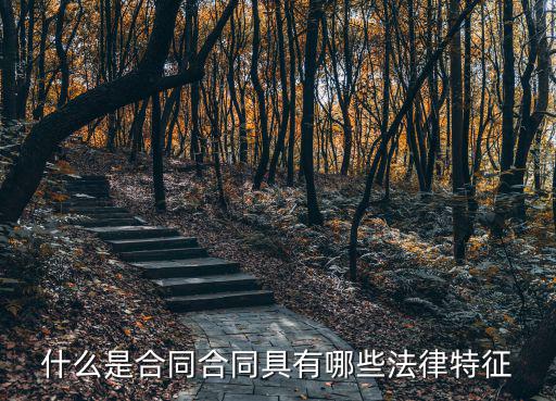 什么是合同合同具有哪些法律特征