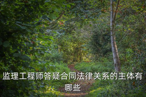 什么叫合同法律關(guān)系主體，我想了解一下什么是合同主體