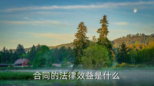 什么叫合同法律效應的解釋，合同法律效力