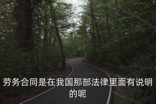 勞務(wù)合同是在我國那部法律里面有說明的呢