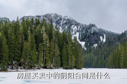 房屋買賣中的陰陽合同是什么