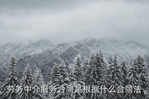 獵頭服務合同適用什么法律，勞務中介服務合同是根據(jù)什么合同法