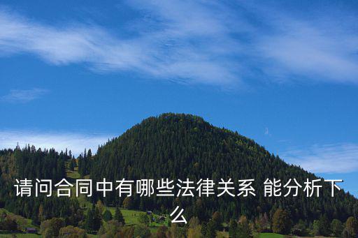 合同雙方法律關(guān)系是指什么，請問合同中有哪些法律關(guān)系 能分析下么