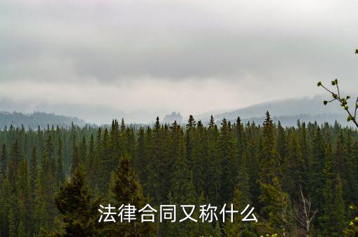 法律合同又稱什么