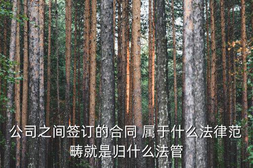 公司之間簽訂的合同 屬于什么法律范疇就是歸什么法管