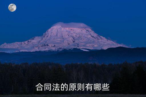 合同法的原則有哪些