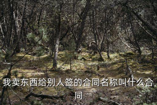 我賣東西給別人簽的合同名稱叫什么合同