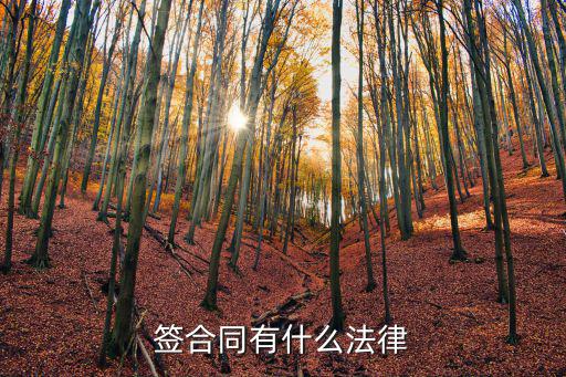簽合同有什么法律