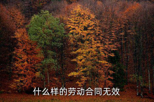 什么樣的勞動合同無效