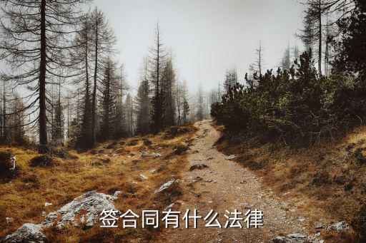 現(xiàn)在的合同叫什么法律合同，法律合同又稱什么