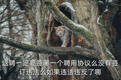 返聘一定要簽署一個(gè)聘用協(xié)議么沒有簽訂違法么如果違法違反了哪