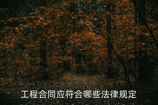工程合同應(yīng)符合哪些法律規(guī)定