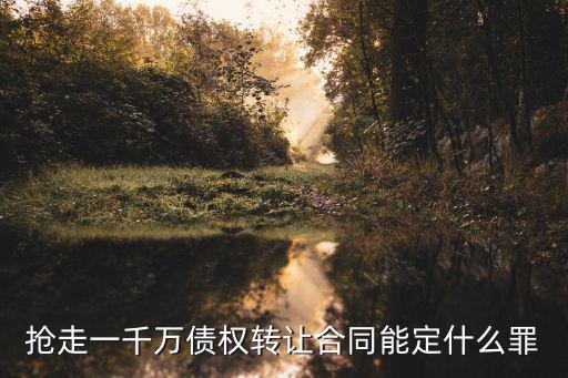 搶合同違反什么法律，搶走一千萬債權(quán)轉(zhuǎn)讓合同能定什么罪